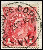 Cope 1916